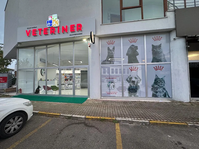 Selçuk Bağdat Veteriner Kliniği Kurtköy - Pendik foto 1