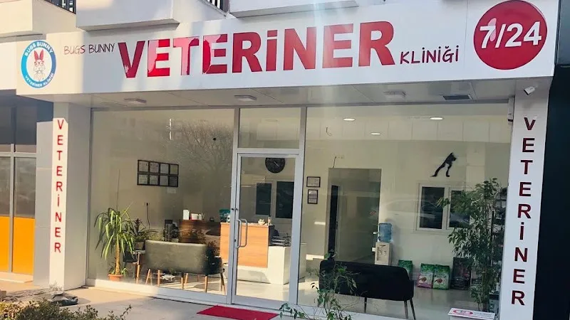Bugs Bunny Veteriner Kliniği foto 1