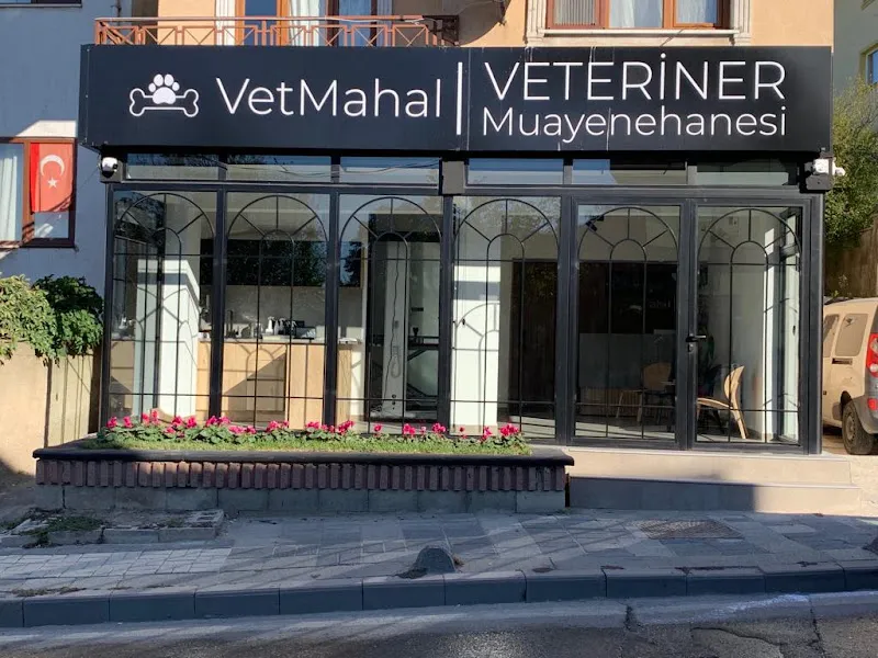 VetMahal Veteriner Kliniği foto 1