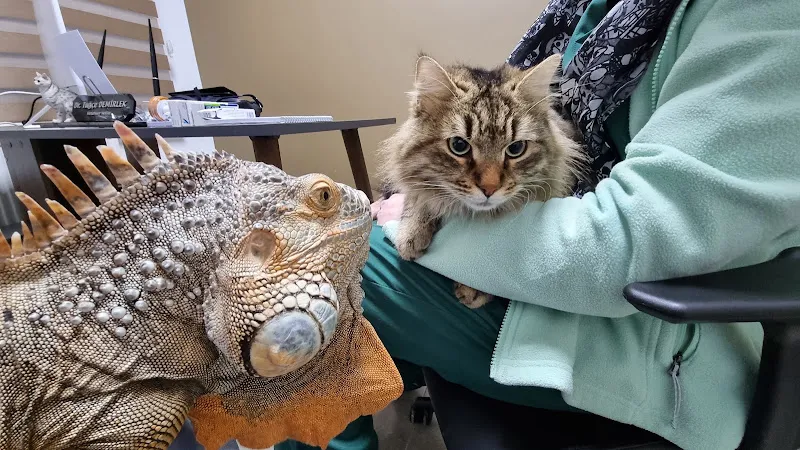 VetMahal Veteriner Kliniği foto 2