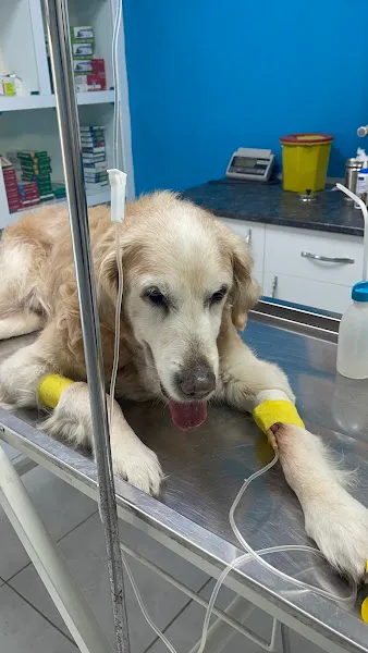 Berkman Veteriner Kliniği foto 2
