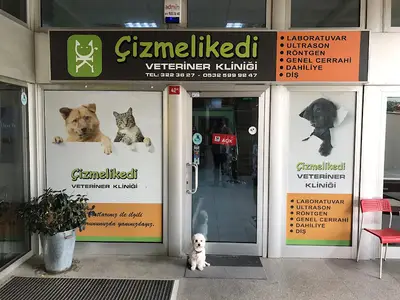 GÖKTÜRK ÇİZMELİKEDİ VETERİNER KLİNİĞİ
