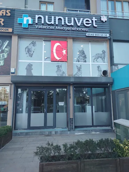 NİŞANTEPE NUNUVET Veteriner Kliniği foto 1
