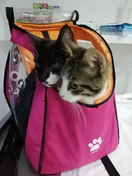 Sheila Veteriner Kliniği foto 2