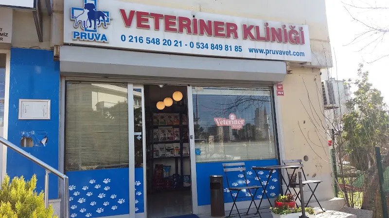 Pruva Veteriner Kliniği foto 1