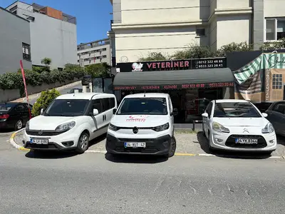 Countryvet Veteriner Muayenehanesi