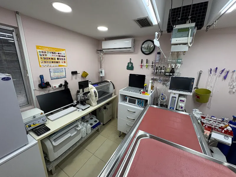Countryvet Veteriner Muayenehanesi foto 2
