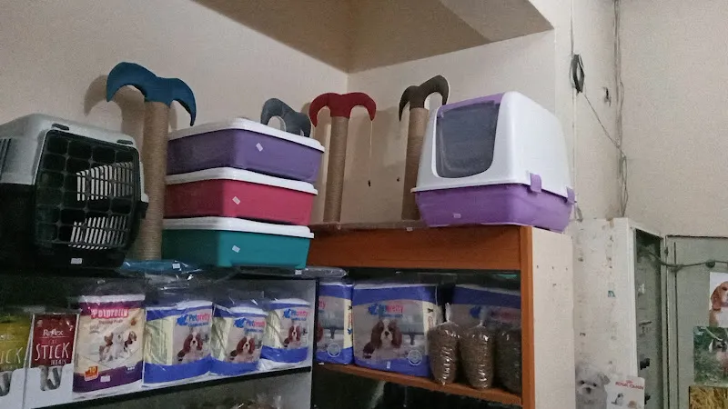 Şampiyon Pet Shop foto 2