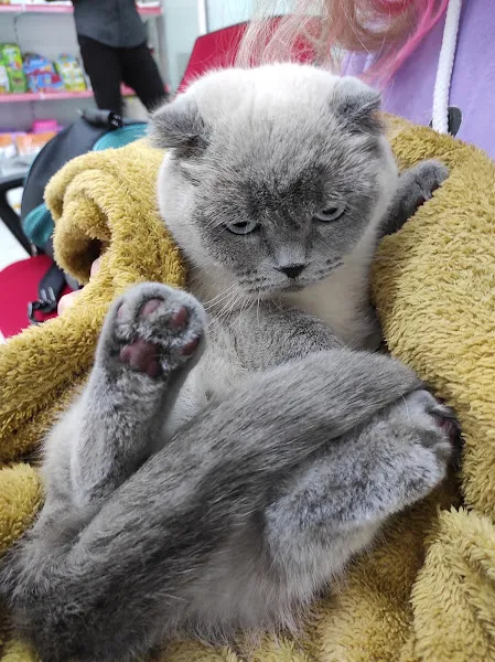 Acıbadem Pet Lucky Veteriner Kliniği foto 1