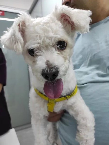 Acıbadem Pet Lucky Veteriner Kliniği foto 2