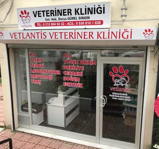Vetlantis Veteriner Kliniği foto 2