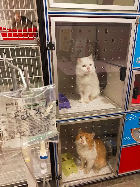 Feriköy Veteriner Kliniği foto 2