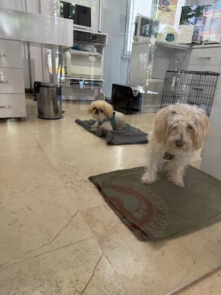 Luna Veteriner Kliniği foto 2