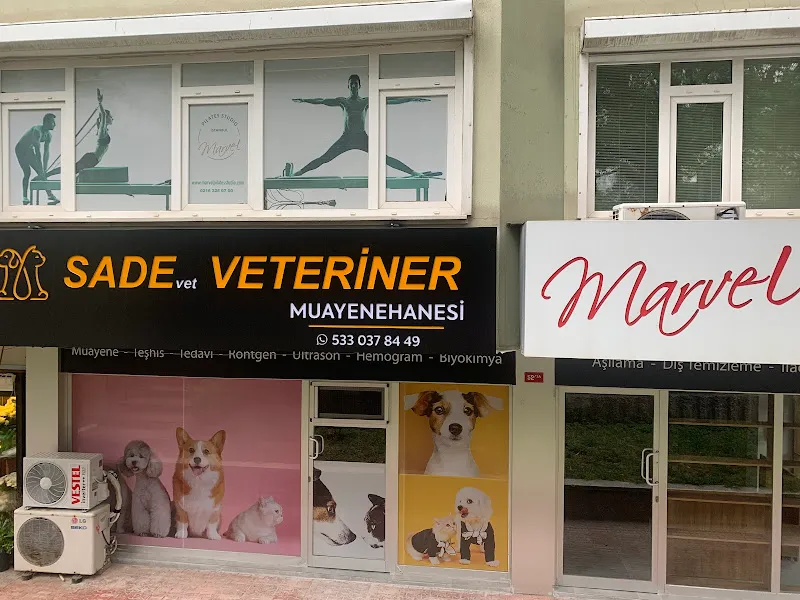 Sadevet Veteriner foto 1