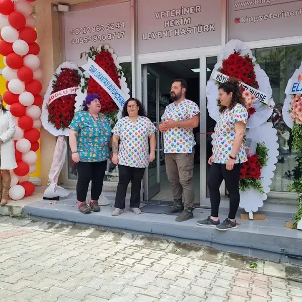 KingVet Veteriner Kliniği foto 1