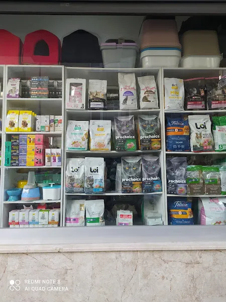 Mır Mır Petshop foto 2