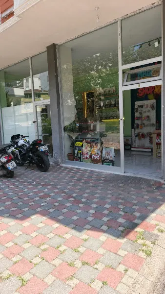 Mabi pet petshop foto 1