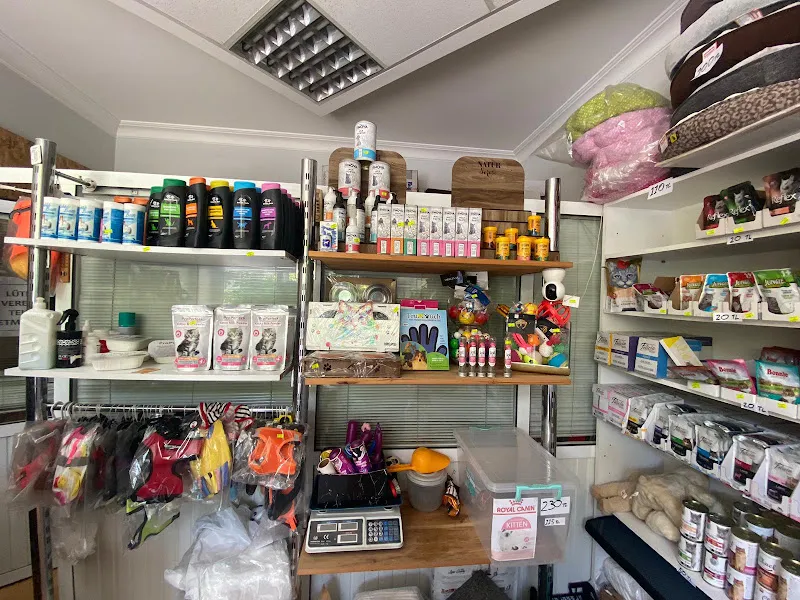 CikletPetshop Avcılar foto 2