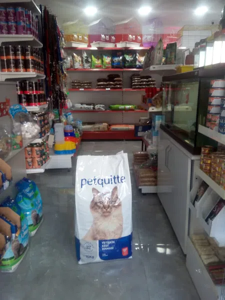 SD petshop foto 2