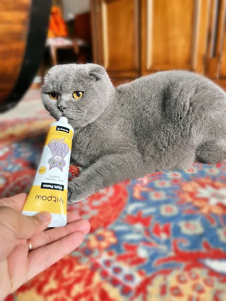 Vitpaw foto 2