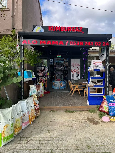 KUMBURGAZ PETSHOP foto 1