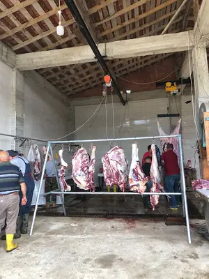 Sinop Halep Keçi Çiftliği fotoğrafı