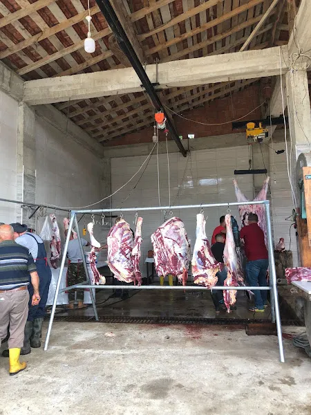 Sinop Halep Keçi Çiftliği foto 1