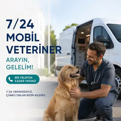 Mobil Veteriner