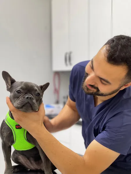 Beylikdüzü Veteriner Kliniği - Veteriner Hekim Mehmet Halil foto 1