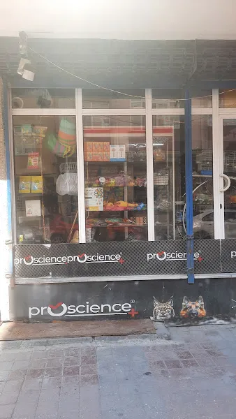 Yeğenler Petshop foto 2