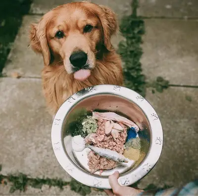 Dogadan mama