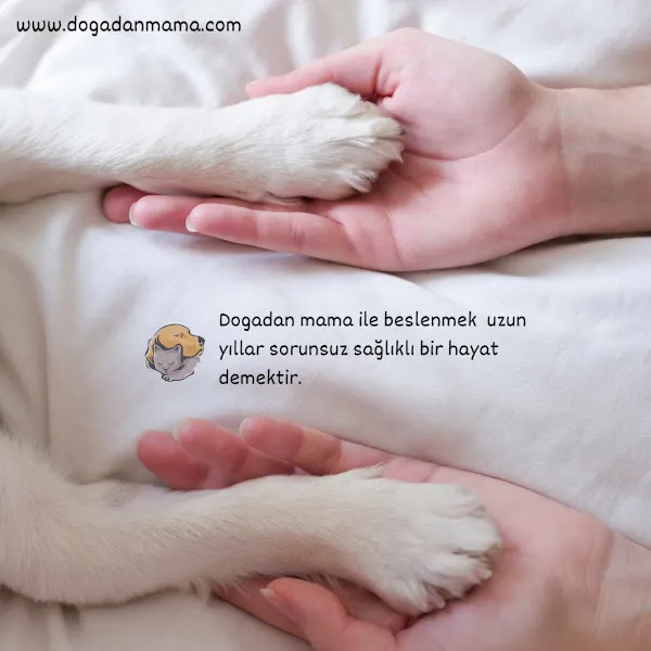 Dogadan mama foto 2
