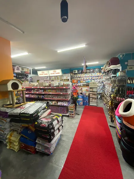 larin petshop KURTKÖY foto 1