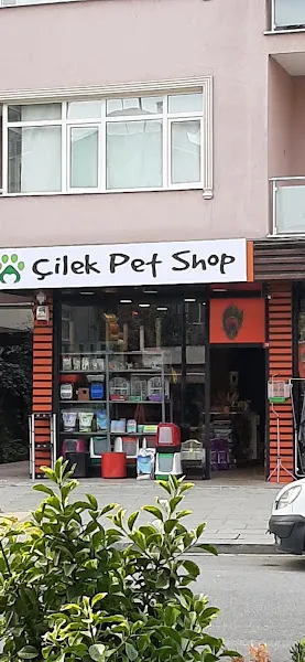 ÇİLEK PETSHOP foto 1