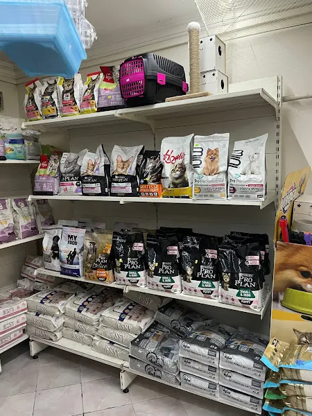 Lui Pet Shop foto 2