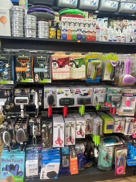 Patizi PETSHOP foto 2