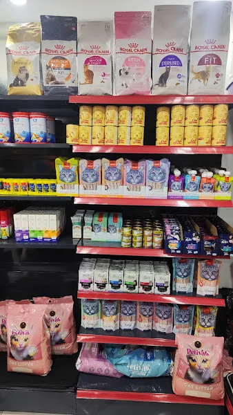 Patiland Pet Shop Atakent foto 2