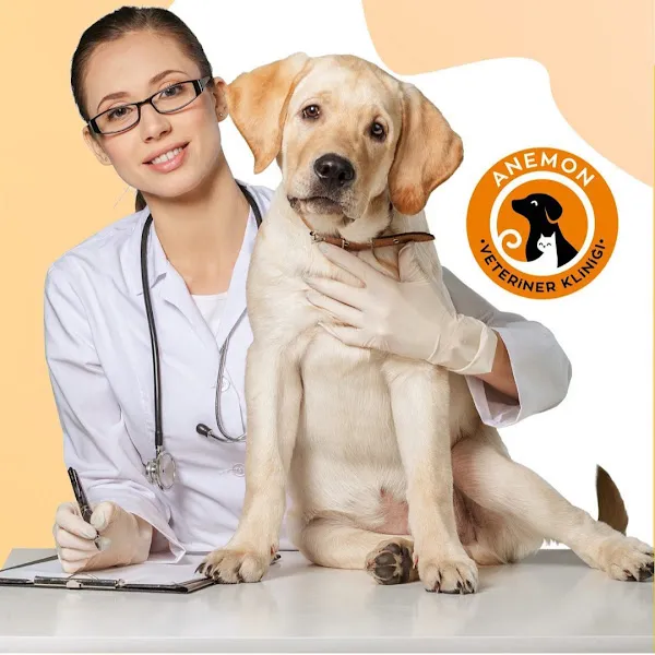 ANEMON VETERİNER KLİNİĞİ foto 2
