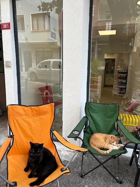 Mahalle Veteriner Klinigi foto 2