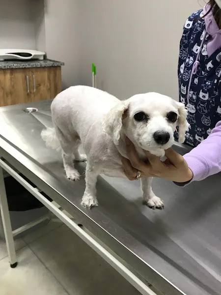 Tatlıpati Veteriner Kliniği foto 2