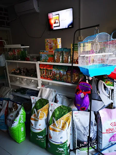 DESTEM PLUS PETSHOP foto 2