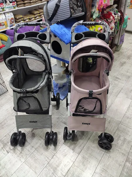 Petmahallem Ömür Pet Market Beylikdüzü Pet Shop Esenyurt Pet Shop foto 2