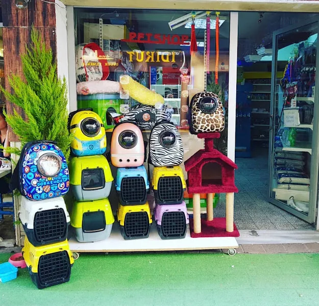 YAŞAM PETSHOP foto 2