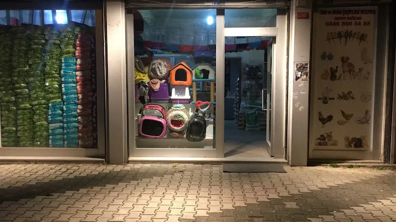 AHMET PETSHOP foto 1