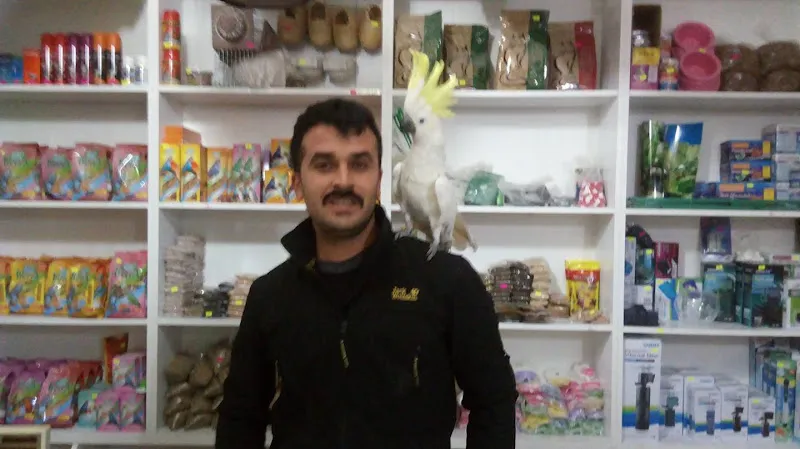 AHMET PETSHOP foto 2