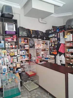 Boncuk petshop fotoğrafı