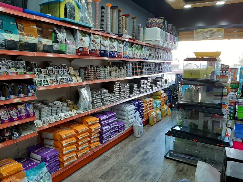 Alice Petshop Seyrantepe foto 2