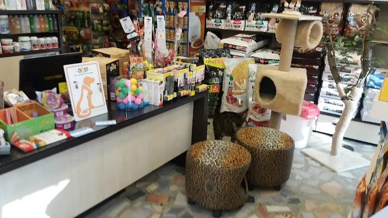 Catz & Dogz Petland BAHÇEKÖY foto 2