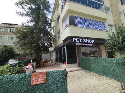 Islak burunlar petshop ve pet kuaför fotoğrafı