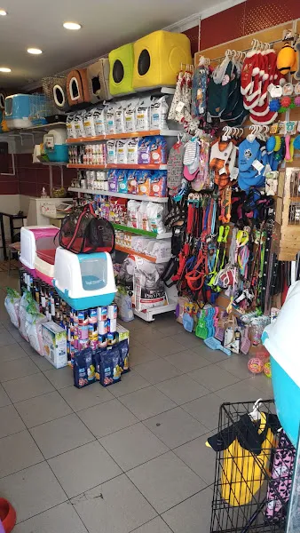 Pet Kapınızda Petshop foto 2